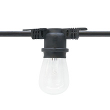 American Lighting LS-M-24-100-BK - Commerical Grade Light String