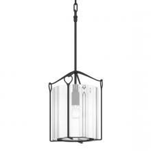 Hubbardton Forge 104060-SKT-10-ZM0137 - Bow Tall Mini Pendant