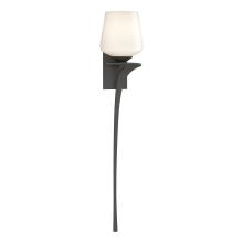 Hubbardton Forge 204710-SKT-RGT-20-GG0236 - Antasia Single Glass 1 Light Sconce