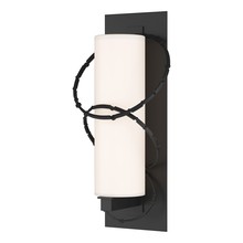 Hubbardton Forge 302403-SKT-80-GG0037 - Olympus Large Outdoor Sconce