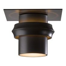 Hubbardton Forge 364903-SKT-14 - Twilight Dark Sky Friendly Outdoor Semi-Flush