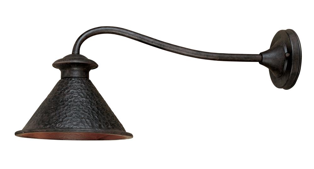 Dark Sky Essen 1-Light Outdoor Bronze Wall Lamp